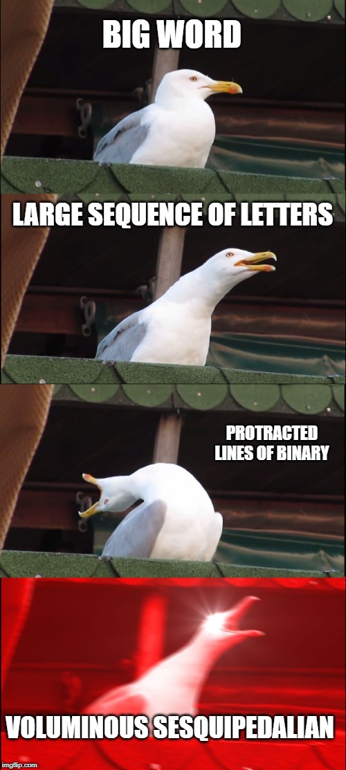 Inhaling Seagull Meme | BIG WORD; LARGE SEQUENCE OF LETTERS; PROTRACTED LINES OF BINARY; VOLUMINOUS SESQUIPEDALIAN | image tagged in memes,inhaling seagull | made w/ Imgflip meme maker