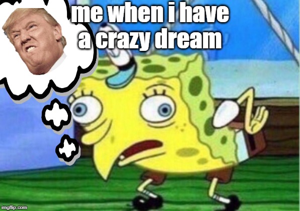 Mocking Spongebob Meme | me when i have a crazy dream | image tagged in memes,mocking spongebob | made w/ Imgflip meme maker