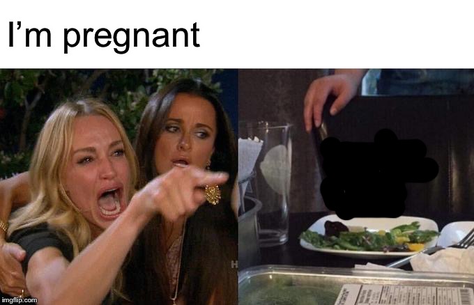 Woman Yelling At Cat | I’m pregnant | image tagged in memes,woman yelling at cat | made w/ Imgflip meme maker