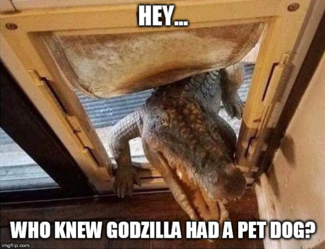 Croc Godzilla door cat door dog door | HEY... WHO KNEW GODZILLA HAD A PET DOG? | image tagged in croc godzilla door cat door dog door | made w/ Imgflip meme maker