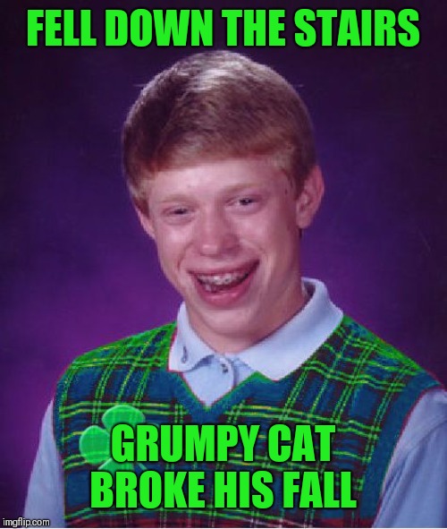 good luck brian | FELL DOWN THE STAIRS GRUMPY CAT BROKE HIS FALL | image tagged in good luck brian | made w/ Imgflip meme maker