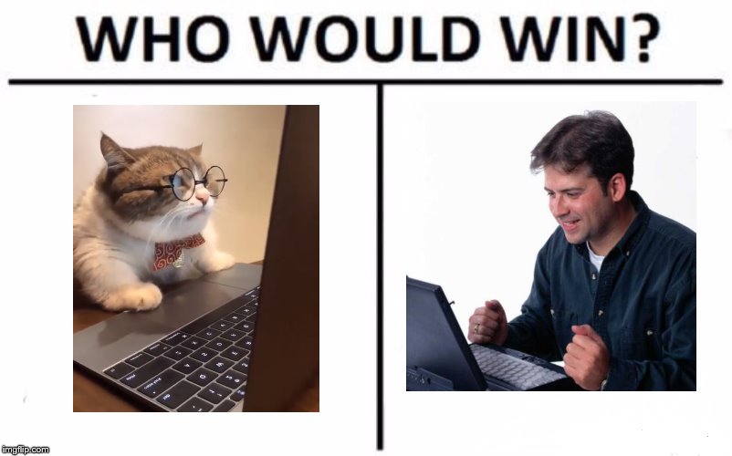 man vs cat computer | image tagged in memes,who would win | made w/ Imgflip meme maker