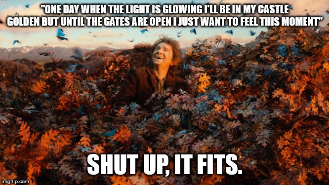 "ONE DAY WHEN THE LIGHT IS GLOWING I'LL BE IN MY CASTLE GOLDEN BUT UNTIL THE GATES ARE OPEN I JUST WANT TO FEEL THIS MOMENT"; SHUT UP, IT FITS. | image tagged in the hobbit | made w/ Imgflip meme maker