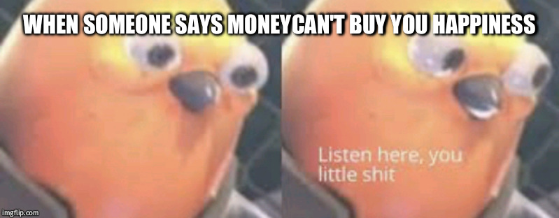 Listen here you little shit bird | WHEN SOMEONE SAYS MONEYCAN'T BUY YOU HAPPINESS | image tagged in listen here you little shit bird | made w/ Imgflip meme maker