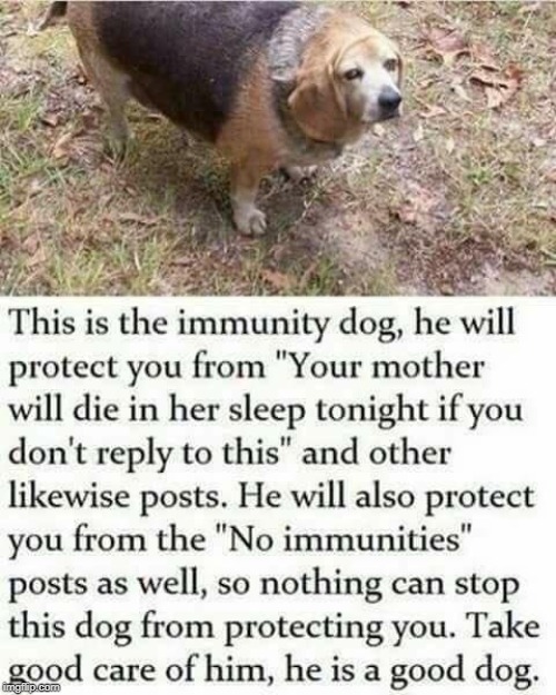 The Immunity Dog | image tagged in immunity dog | made w/ Imgflip meme maker