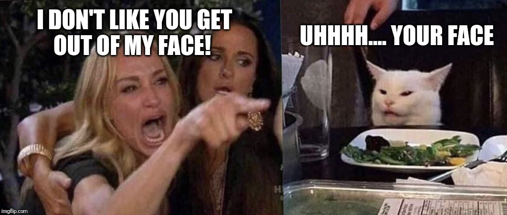 woman yelling at cat | I DON'T LIKE YOU GET
OUT OF MY FACE! UHHHH.... YOUR FACE | image tagged in woman yelling at cat | made w/ Imgflip meme maker