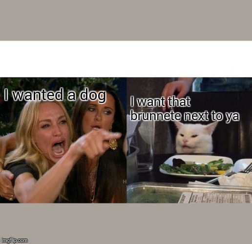 Woman Yelling At Cat | I wanted a dog; I want that brunnete next to ya | image tagged in memes,woman yelling at cat | made w/ Imgflip meme maker