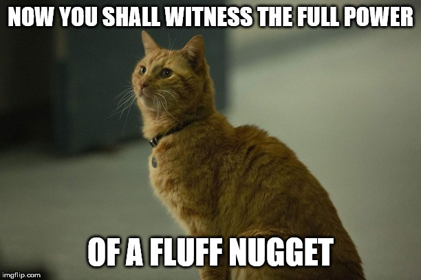 Goose Meme | NOW YOU SHALL WITNESS THE FULL POWER; OF A FLUFF NUGGET | image tagged in goose,captain marvel | made w/ Imgflip meme maker