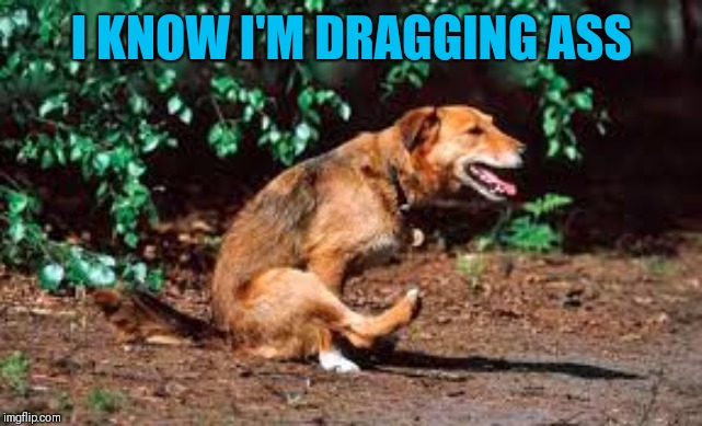 Dragging Ass | I KNOW I'M DRAGGING ASS | image tagged in dragging ass | made w/ Imgflip meme maker
