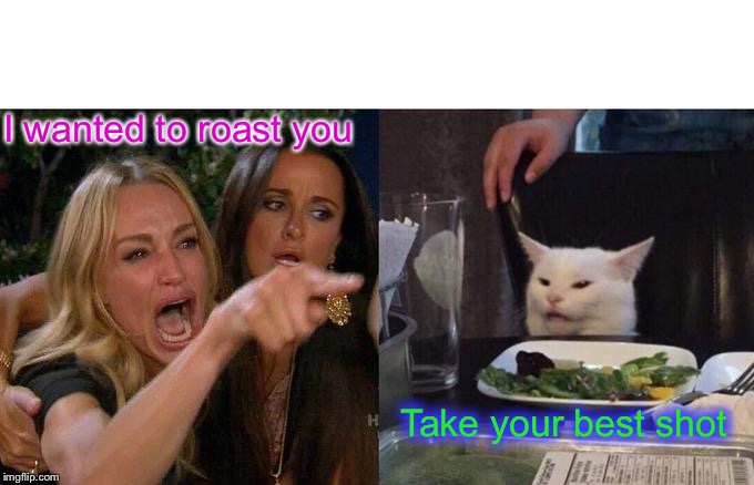 Woman Yelling At Cat Meme | I wanted to roast you Take your best shot | image tagged in memes,woman yelling at cat | made w/ Imgflip meme maker