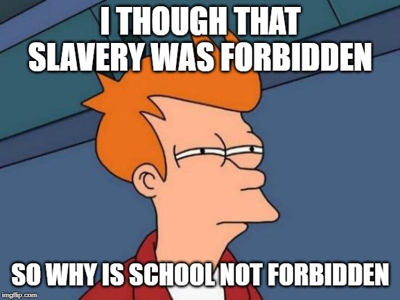 Futurama Fry Meme | I THOUGH THAT SLAVERY WAS FORBIDDEN; SO WHY IS SCHOOL NOT FORBIDDEN | image tagged in memes,futurama fry | made w/ Imgflip meme maker