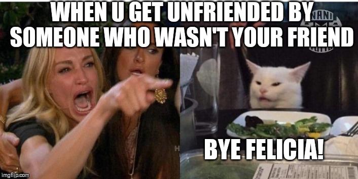 white cat table | WHEN U GET UNFRIENDED BY SOMEONE WHO WASN'T YOUR FRIEND; BYE FELICIA! | image tagged in white cat table | made w/ Imgflip meme maker