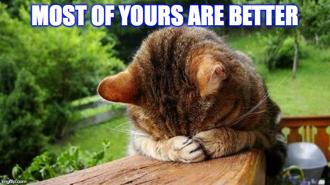Embarrassed Cat | MOST OF YOURS ARE BETTER | image tagged in embarrassed cat | made w/ Imgflip meme maker