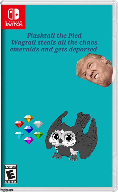Damn it Flashtail! | Flashtail the Pied Wagtail steals all the chaos emeralds and gets deported | image tagged in nintendo switch,ocs,pied wagtail,deportation,sonic the hedgehog | made w/ Imgflip meme maker