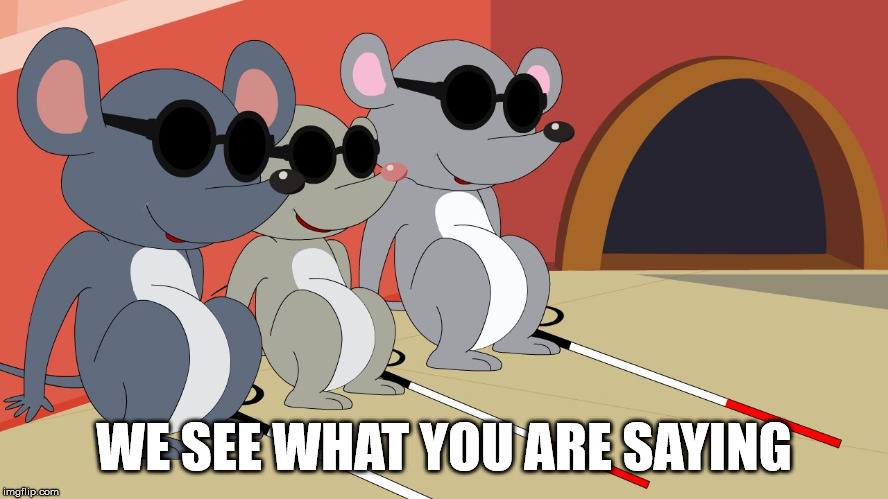Three Blind Mice | WE SEE WHAT YOU ARE SAYING | image tagged in three blind mice | made w/ Imgflip meme maker