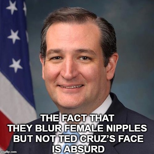 THE FACT THAT THEY BLUR FEMALE NIPPLES
 BUT NOT TED CRUZ’S FACE
 IS ABSURD | image tagged in ted cruz | made w/ Imgflip meme maker