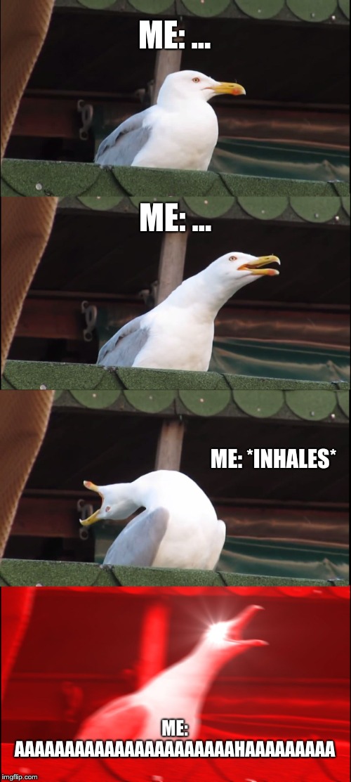 Inhaling Seagull | ME: ... ME: ... ME: *INHALES*; ME: AAAAAAAAAAAAAAAAAAAAAAHAAAAAAAAA | image tagged in memes,inhaling seagull | made w/ Imgflip meme maker