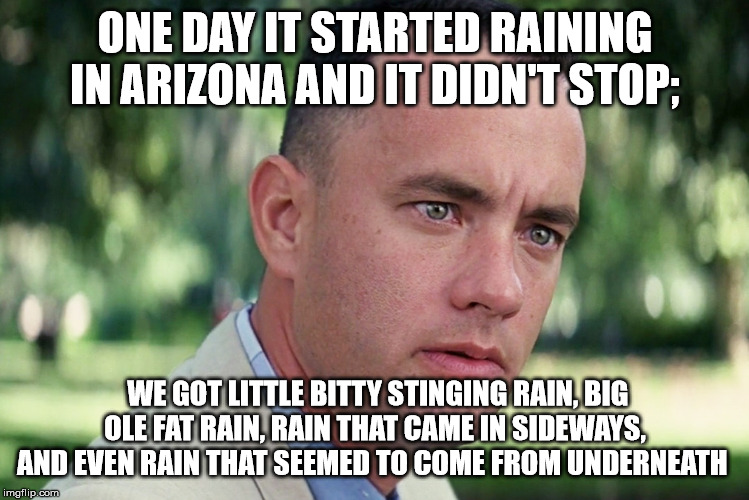 And Just Like That Meme | ONE DAY IT STARTED RAINING IN ARIZONA AND IT DIDN'T STOP;; WE GOT LITTLE BITTY STINGING RAIN, BIG OLE FAT RAIN, RAIN THAT CAME IN SIDEWAYS, AND EVEN RAIN THAT SEEMED TO COME FROM UNDERNEATH | image tagged in memes,and just like that | made w/ Imgflip meme maker