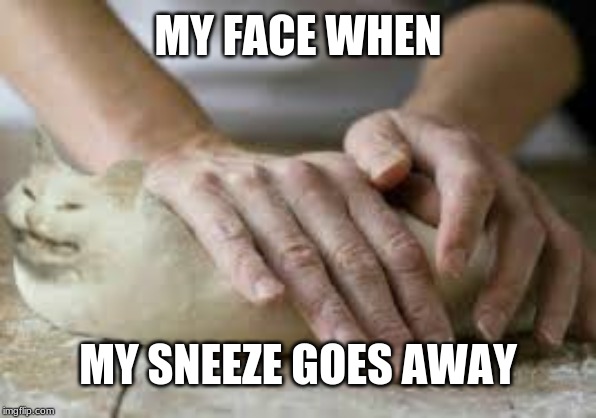 yeet | MY FACE WHEN; MY SNEEZE GOES AWAY | image tagged in memes | made w/ Imgflip meme maker