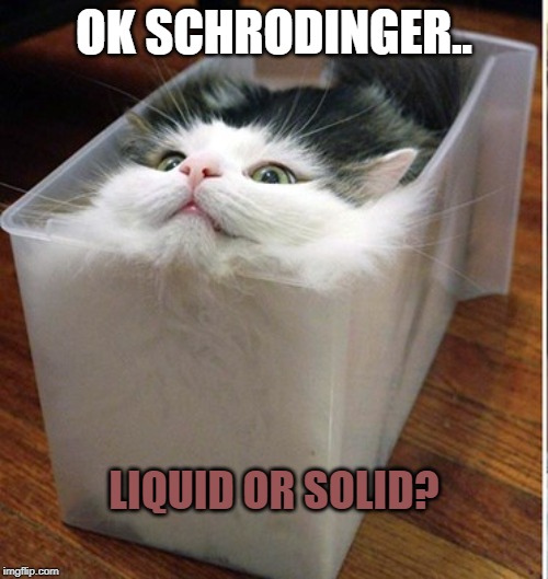 schrodinger's cat | OK SCHRODINGER.. LIQUID OR SOLID? | image tagged in schrodinger's cat | made w/ Imgflip meme maker