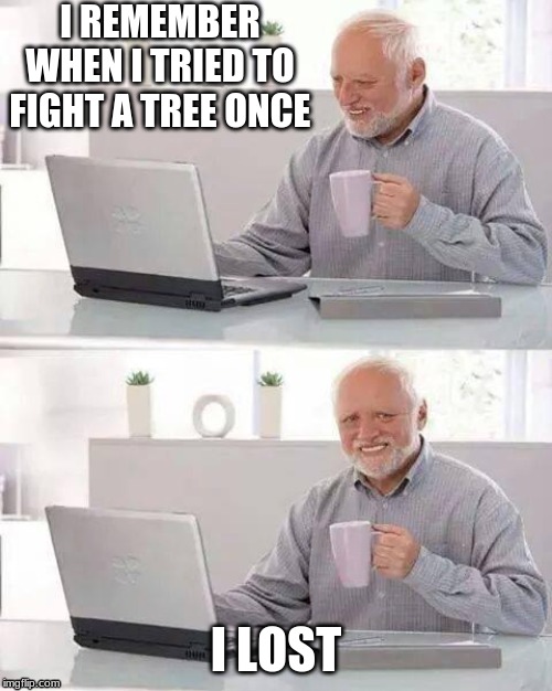 Have you ever tried to fight an inanimate object, and lost? | I REMEMBER WHEN I TRIED TO FIGHT A TREE ONCE; I LOST | image tagged in memes,hide the pain harold | made w/ Imgflip meme maker