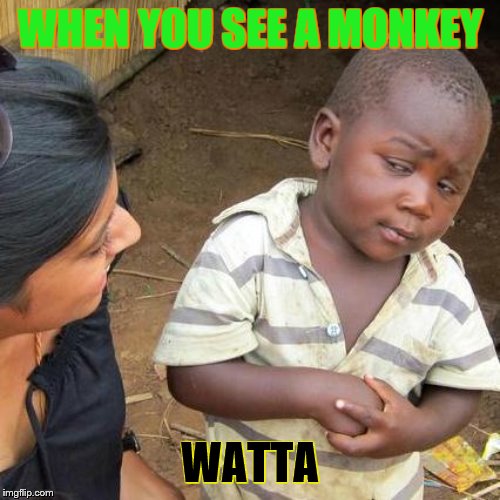 Third World Skeptical Kid Meme | WHEN YOU SEE A MONKEY; WATTA | image tagged in memes,third world skeptical kid | made w/ Imgflip meme maker