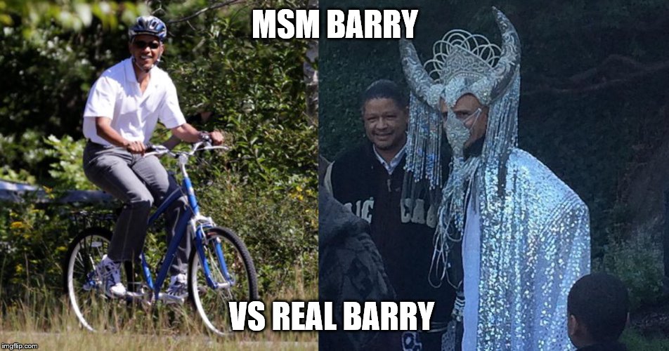 TRUTH | MSM BARRY; VS REAL BARRY | image tagged in evil toddler | made w/ Imgflip meme maker
