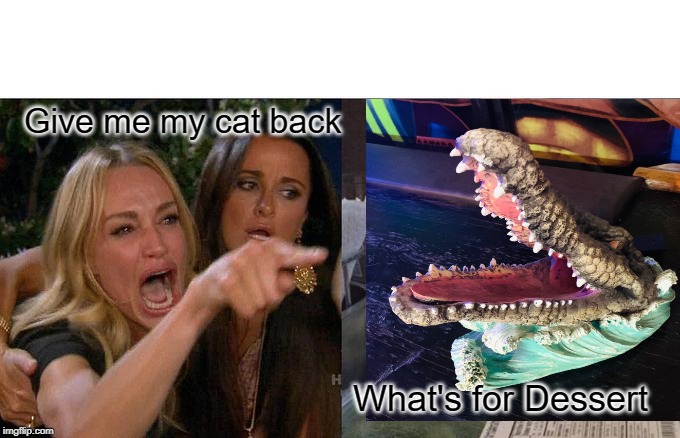 Woman Yelling At Cat Meme | Give me my cat back; What's for Dessert | image tagged in memes,woman yelling at cat | made w/ Imgflip meme maker