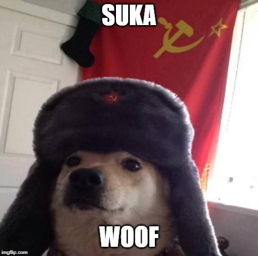 Russian Doge | SUKA; WOOF | image tagged in russian doge | made w/ Imgflip meme maker