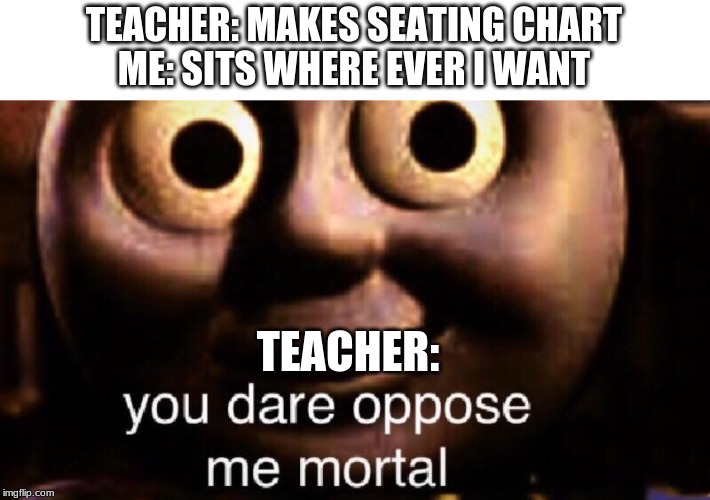 You dare oppose me mortal | TEACHER: MAKES SEATING CHART
ME: SITS WHERE EVER I WANT; TEACHER: | image tagged in you dare oppose me mortal | made w/ Imgflip meme maker