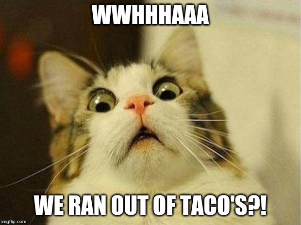 Scared Cat Meme | WWHHHAAA; WE RAN OUT OF TACO'S?! | image tagged in memes,scared cat | made w/ Imgflip meme maker