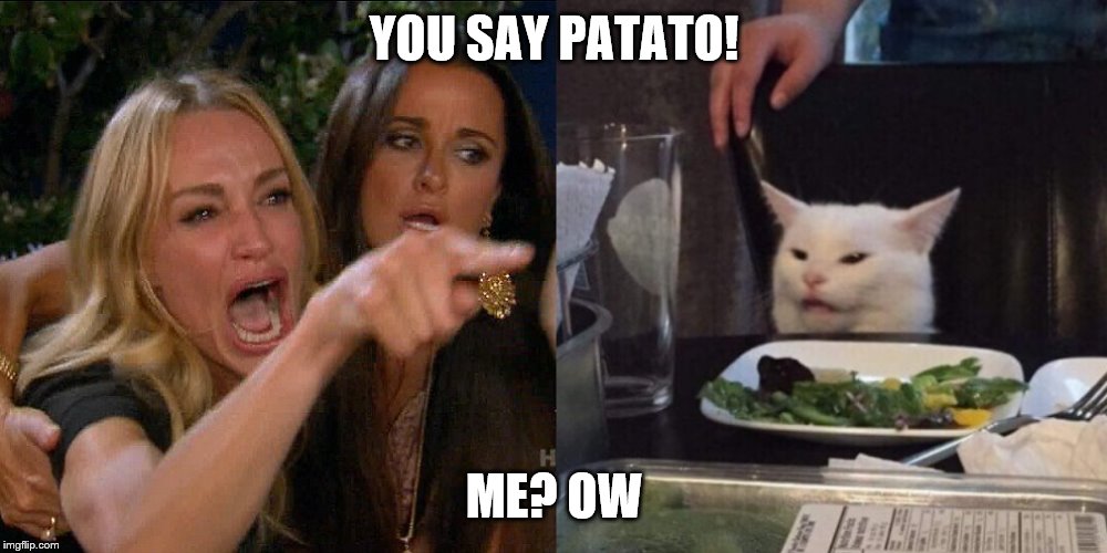 Woman yelling at cat | YOU SAY PATATO! ME? OW | image tagged in woman yelling at cat | made w/ Imgflip meme maker