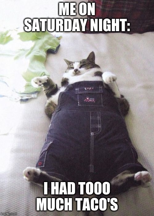 Fat Cat Meme | ME ON SATURDAY NIGHT:; I HAD TO0O MUCH TACO'S | image tagged in memes,fat cat | made w/ Imgflip meme maker