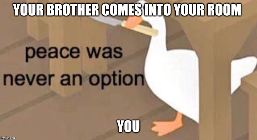 Untitled Goose Peace Was Never an Option | YOUR BROTHER COMES INTO YOUR ROOM; YOU | image tagged in untitled goose peace was never an option | made w/ Imgflip meme maker