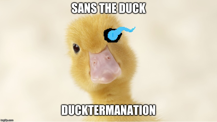 ducktermation | SANS THE DUCK; DUCKTERMANATION | image tagged in bird weekend | made w/ Imgflip meme maker
