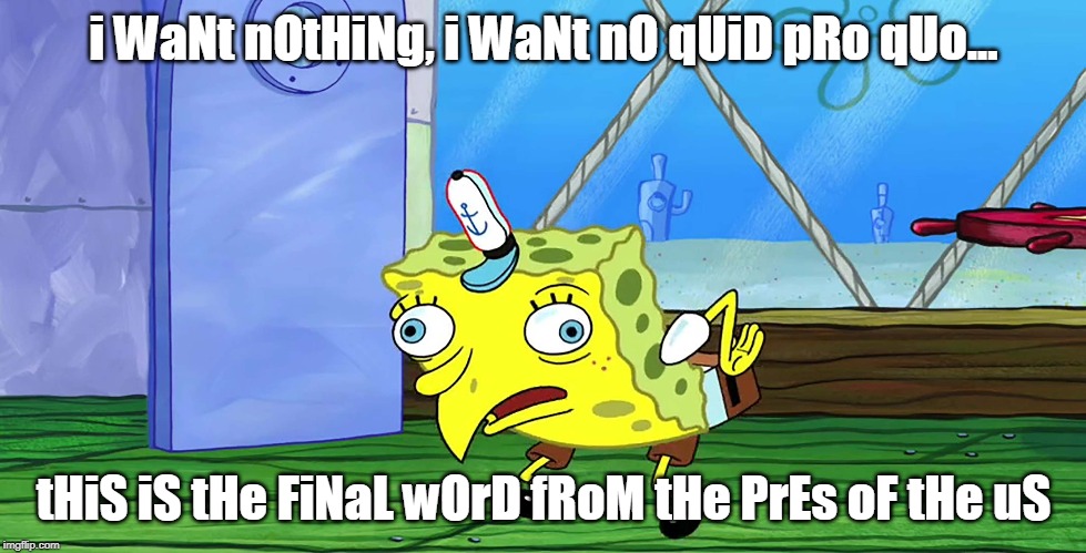 President smarty pants | i WaNt nOtHiNg, i WaNt nO qUiD pRo qUo... tHiS iS tHe FiNaL wOrD fRoM tHe PrEs oF tHe uS | image tagged in trump,words of wisdom,president trump | made w/ Imgflip meme maker