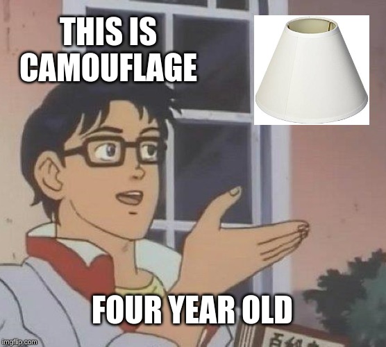 Is This A Pigeon | THIS IS CAMOUFLAGE; FOUR YEAR OLD | image tagged in memes,is this a pigeon | made w/ Imgflip meme maker