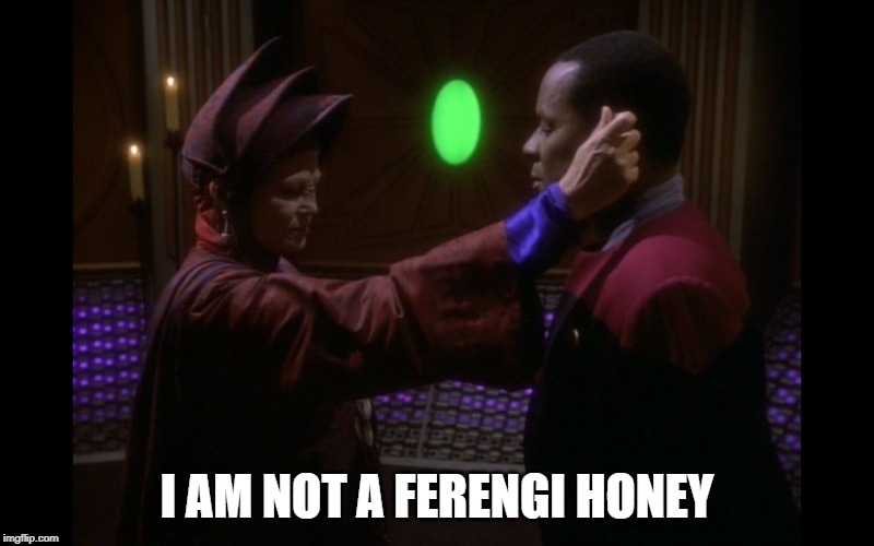 Read This in Sisko's Voice | I AM NOT A FERENGI HONEY | image tagged in star trek deep space nine | made w/ Imgflip meme maker