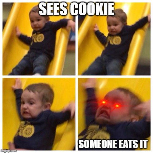 Kid falling down slide | SEES COOKIE; SOMEONE EATS IT | image tagged in kid falling down slide | made w/ Imgflip meme maker