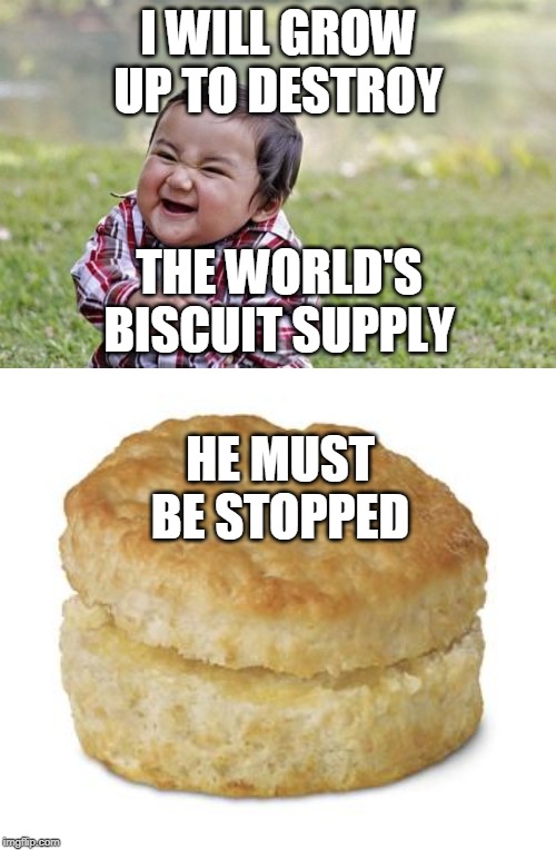 I WILL GROW UP TO DESTROY; THE WORLD'S BISCUIT SUPPLY; HE MUST BE STOPPED | image tagged in memes,evil toddler,donut biscuit | made w/ Imgflip meme maker