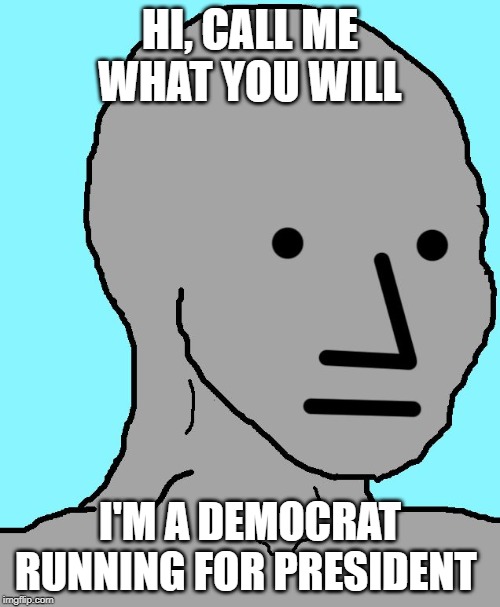 They'd get more votes if this was their candidate | HI, CALL ME WHAT YOU WILL; I'M A DEMOCRAT RUNNING FOR PRESIDENT | image tagged in memes,npc | made w/ Imgflip meme maker