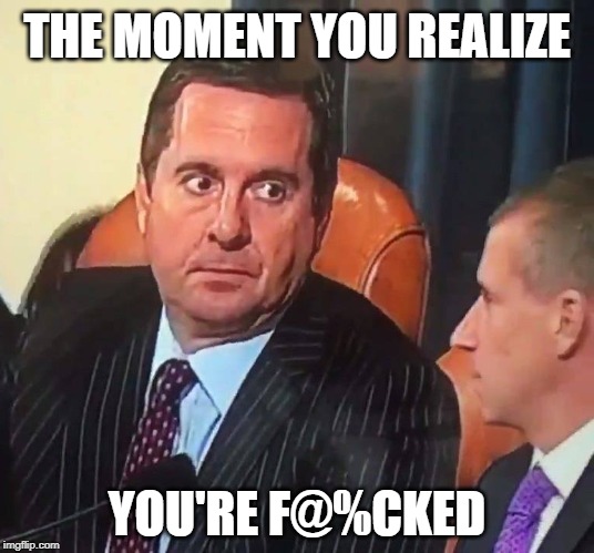 Body language says a lot... | THE MOMENT YOU REALIZE; YOU'RE F@%CKED | image tagged in hearing,impeachment,nunes,screwed | made w/ Imgflip meme maker