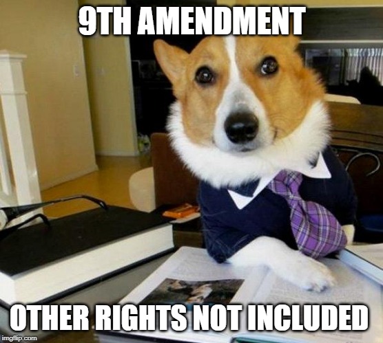 Lawyer Dog | 9TH AMENDMENT; OTHER RIGHTS NOT INCLUDED | image tagged in lawyer dog | made w/ Imgflip meme maker