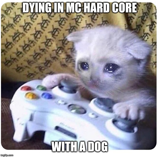 Sad cat Xbox | DYING IN MC HARD CORE; WITH A DOG | image tagged in sad cat xbox | made w/ Imgflip meme maker
