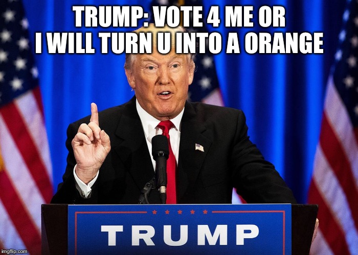 TRUMP: VOTE 4 ME OR I WILL TURN U INTO A ORANGE | image tagged in donald trump | made w/ Imgflip meme maker