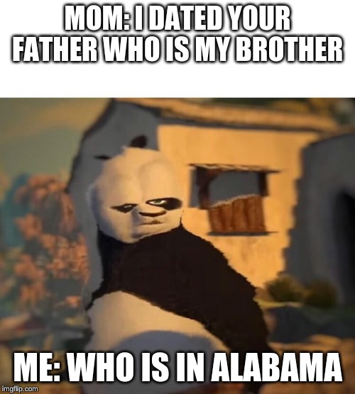 Drunk Kung Fu Panda | MOM: I DATED YOUR FATHER WHO IS MY BROTHER; ME: WHO IS IN ALABAMA | image tagged in drunk kung fu panda | made w/ Imgflip meme maker