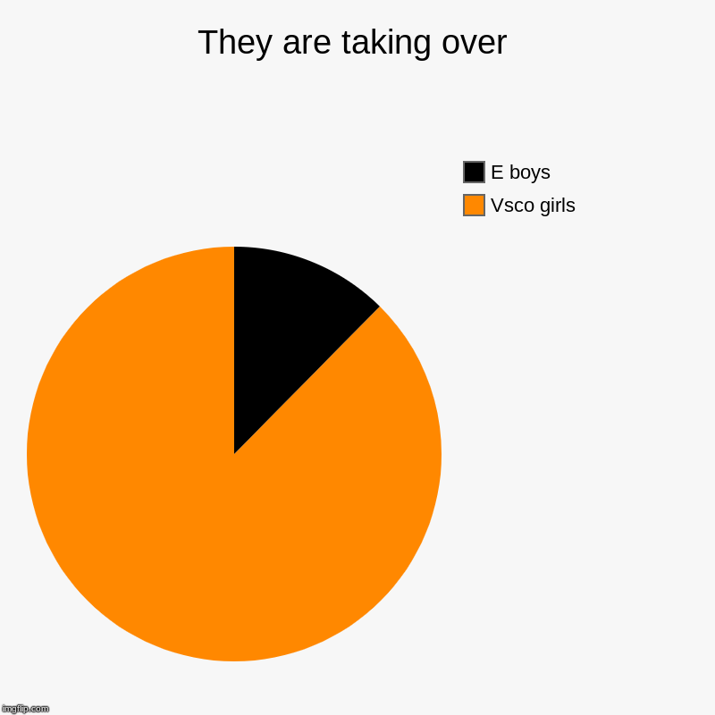 They are taking over | Vsco girls, E boys | image tagged in charts,pie charts | made w/ Imgflip chart maker