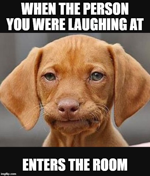 WHEN THE PERSON YOU WERE LAUGHING AT; ENTERS THE ROOM | image tagged in funny,funny memes | made w/ Imgflip meme maker