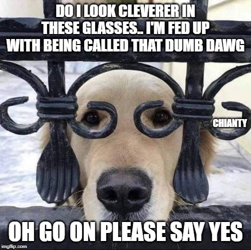 Cleverer | DO I LOOK CLEVERER IN THESE GLASSES.. I'M FED UP WITH BEING CALLED THAT DUMB DAWG; CHIANTY; OH GO ON PLEASE SAY YES | image tagged in please help me | made w/ Imgflip meme maker