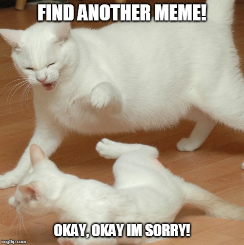 Find another meme! | FIND ANOTHER MEME! OKAY, OKAY IM SORRY! | image tagged in woman yelling at cat | made w/ Imgflip meme maker